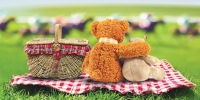 Teddy Bears Picnic Story time