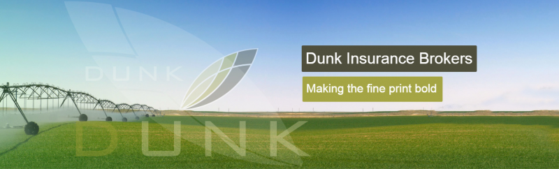 Dunk Insurance